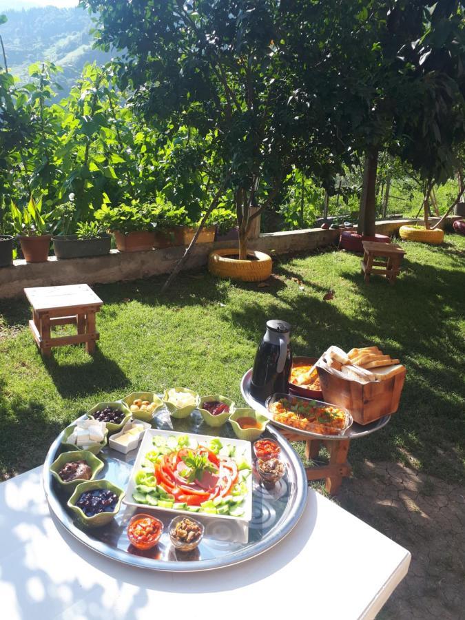 Villa Vinland Atalar Trabzon